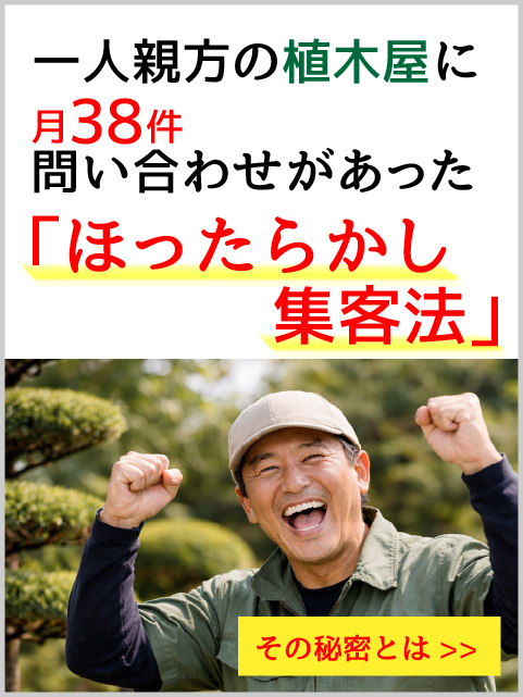 ほったらかし集客法